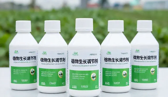技术服务支持如何保障产品安全资讯传递