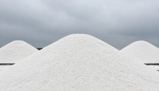 生物技术研发中使用场景的常见问题与处理建议